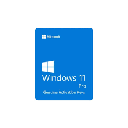 Windows 11 Professional License key